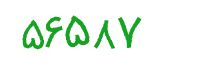 security code